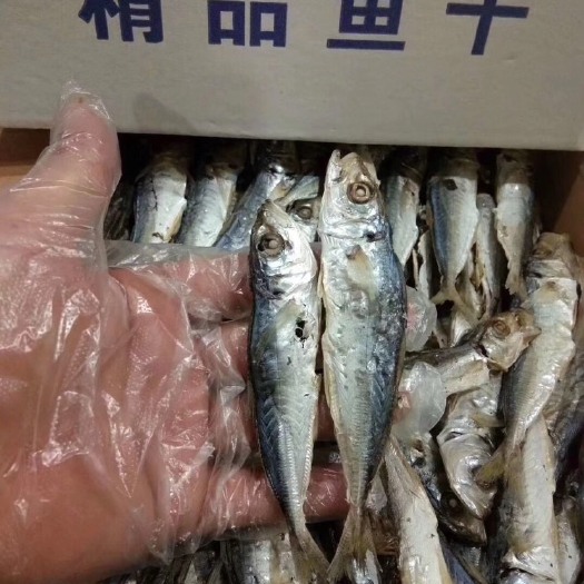 饶平县巴浪鱼干 巴浪，饶仔，青兰。淡干清甜