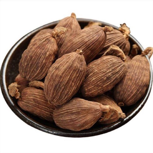 昆明草果  云南
