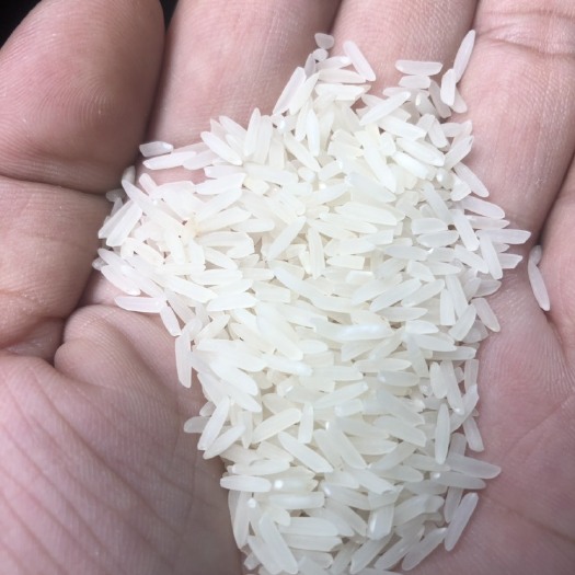 开江县宜香优2115大米 一等品 晚稻 籼米