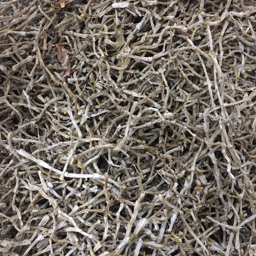深圳 正货铁皮石斛干条，欢迎订购，支持批发
