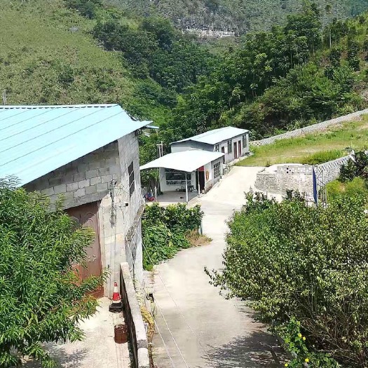 荔波县 贵州省荔波县时来驼背树果园出租