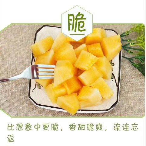 天津金丝蜜瓜天山一号 2斤以上