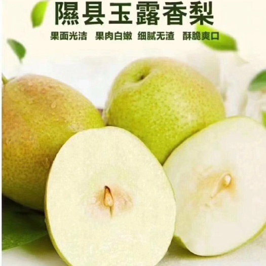 隰县梨子水果隰县隰县玉露香梨特大 一箱12颗装8~10斤一箱包