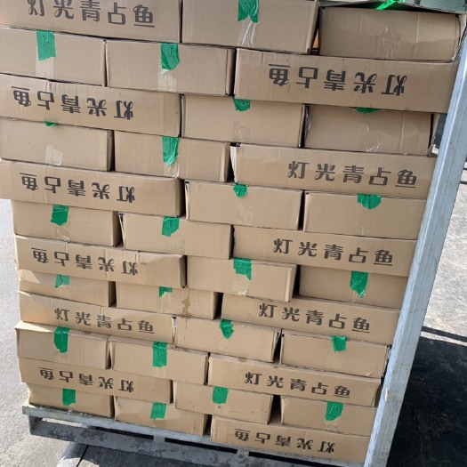 荣成市 刚开海台鲅鱼