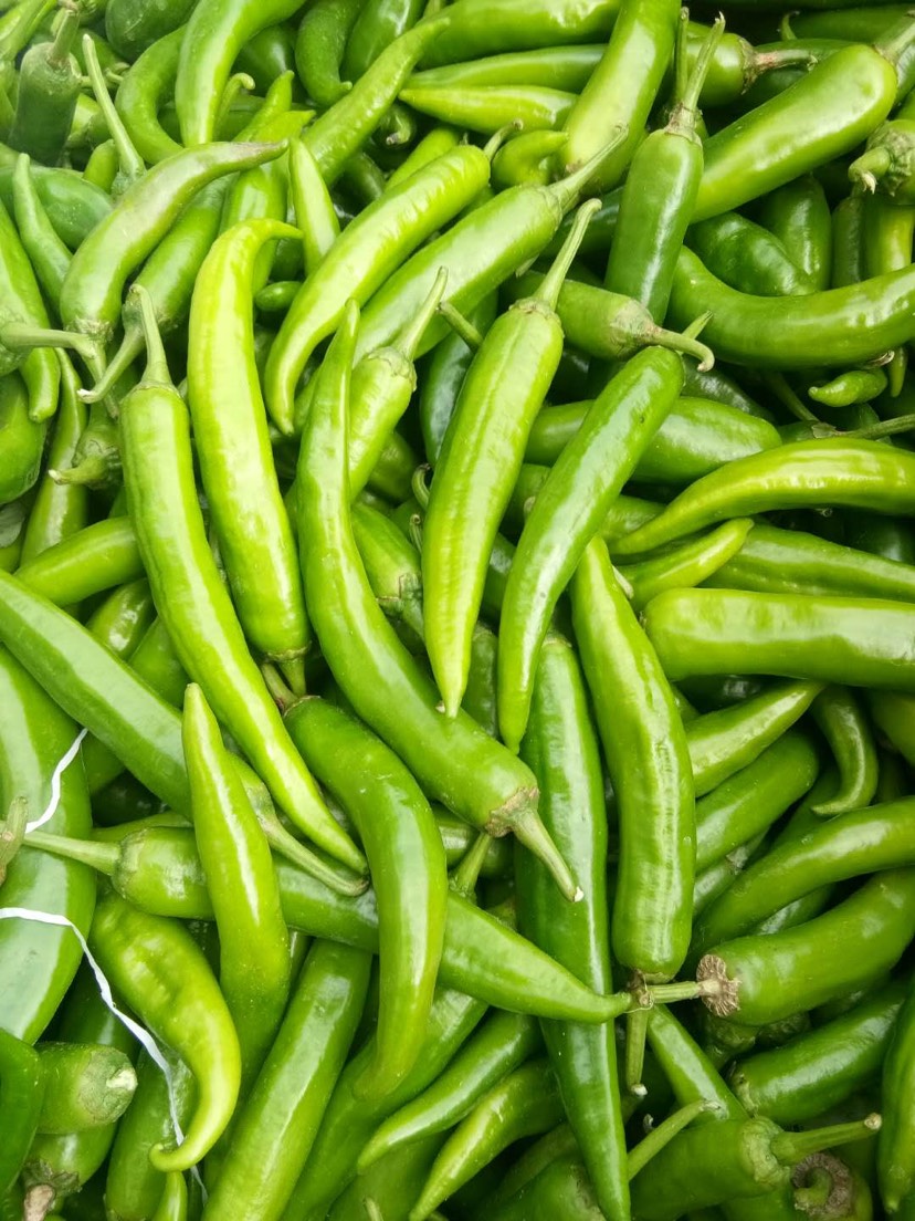西华县 鲜辣椒大量上市，产地直供，质量好，价格便宜