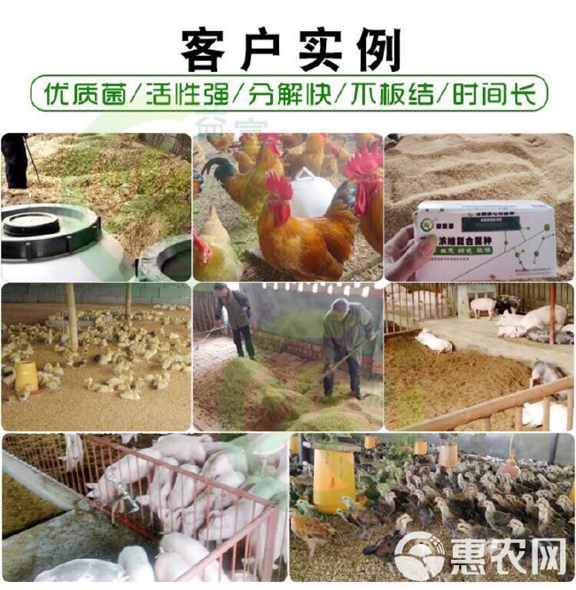 益富源发酵床菌种垫料锯末发酵剂分解粪便养猪牛羊鸡鸭鹅兔零排放