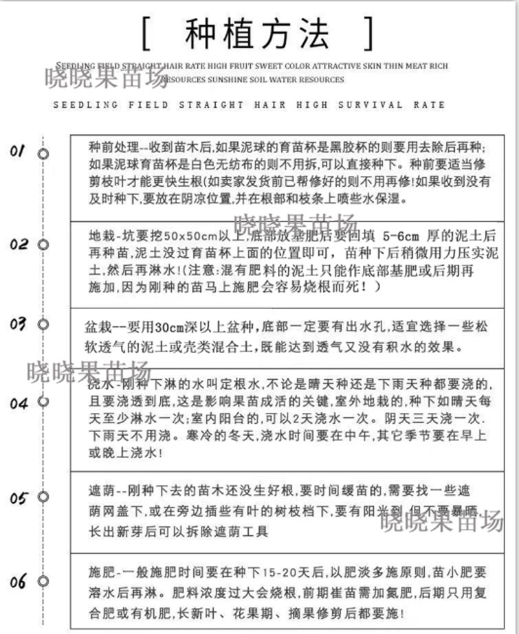  蓝莓苗树苗南北方盆栽地栽都可以带土发货庭院阳台种植包邮