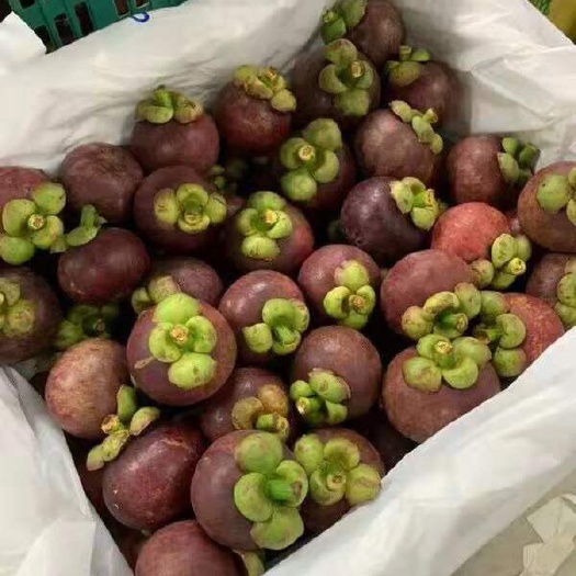 凯里市 拳头大小山竹，甜度95%