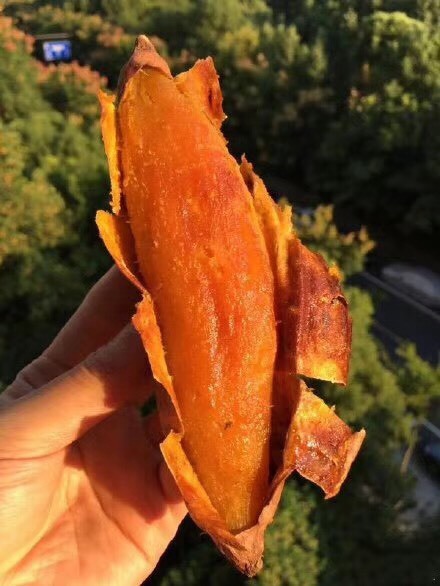 山东烟台烟薯25烤红薯蜜薯一件代发整车走货