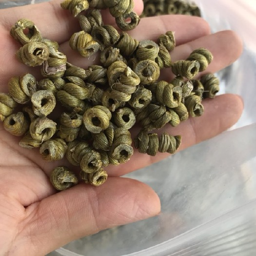金寨县 铁皮石斛