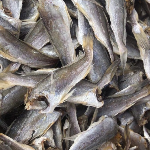 广州小黄鱼干 小黄花鱼干