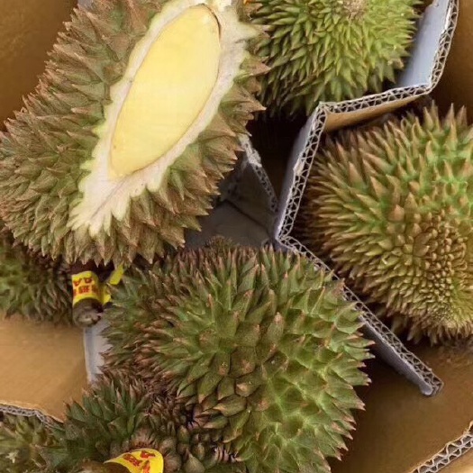 凯里市金枕头榴莲 肉多，皮薄，甜糯香度95%，一箱以上包邮