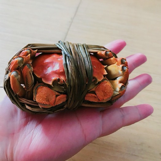南京 固城湖大闸蟹 自产自销