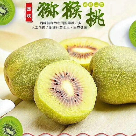  伏牛山西峡红心猕猴桃