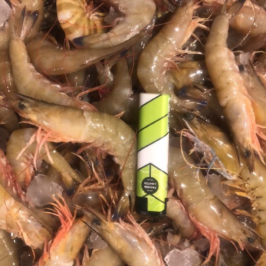 北海 明虾，海虾