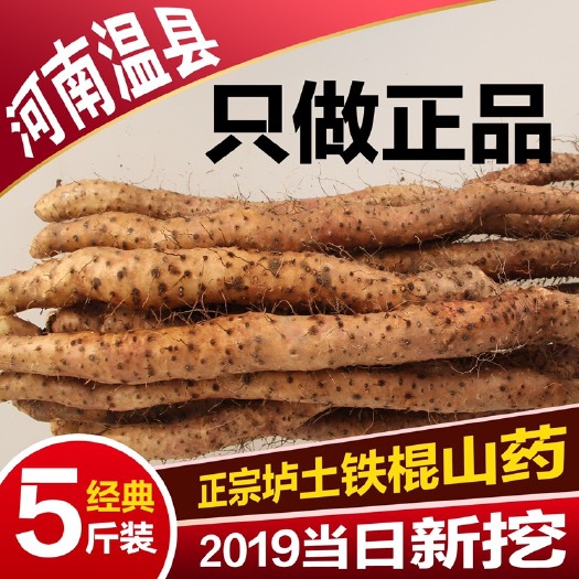 温县 正宗焦作温县垆土地铁棍山药2019新鲜现挖