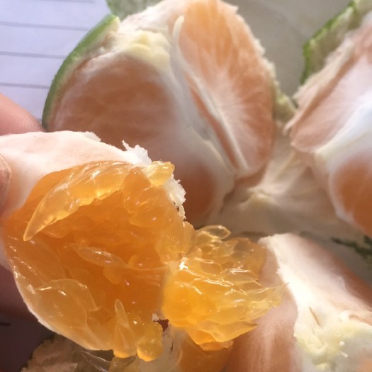 资兴市东江湖蜜橘 7.5 - 8cm 3两以上