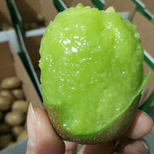 淄博 绿心猕猴桃