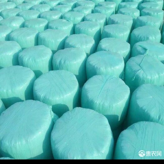 凤台县玉米秸秆