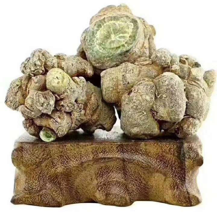 文三七