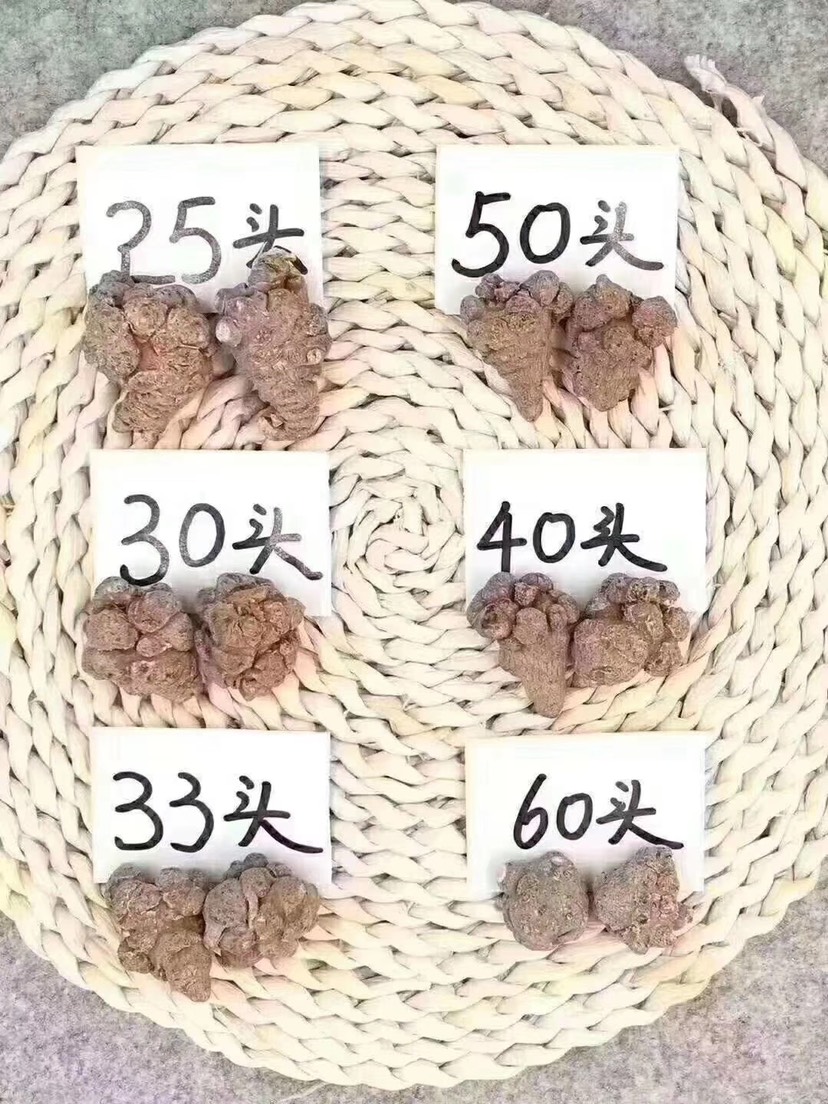 文三七