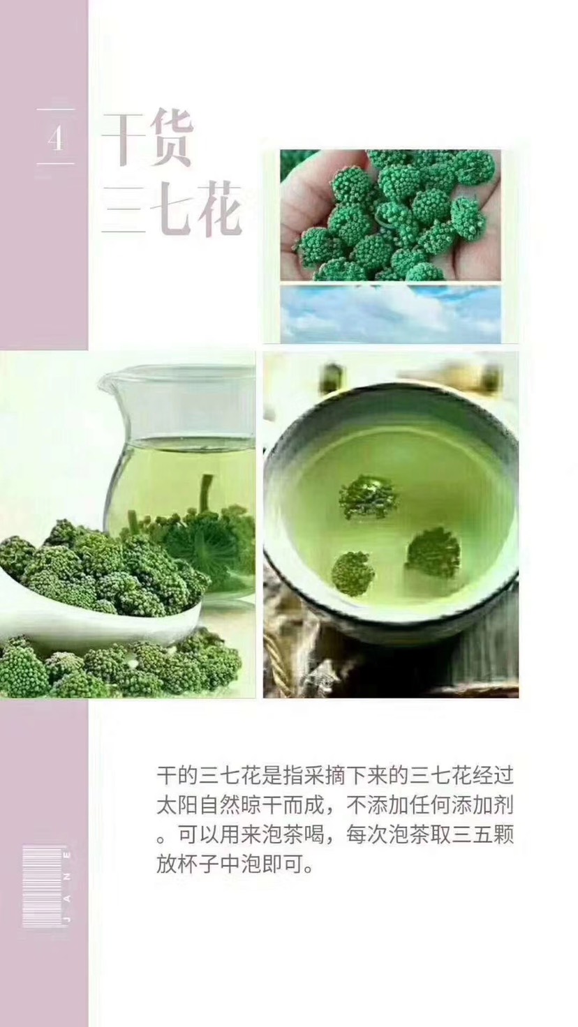文三七
