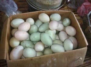 蕲春县 正宗放养土鸭蛋，新鲜