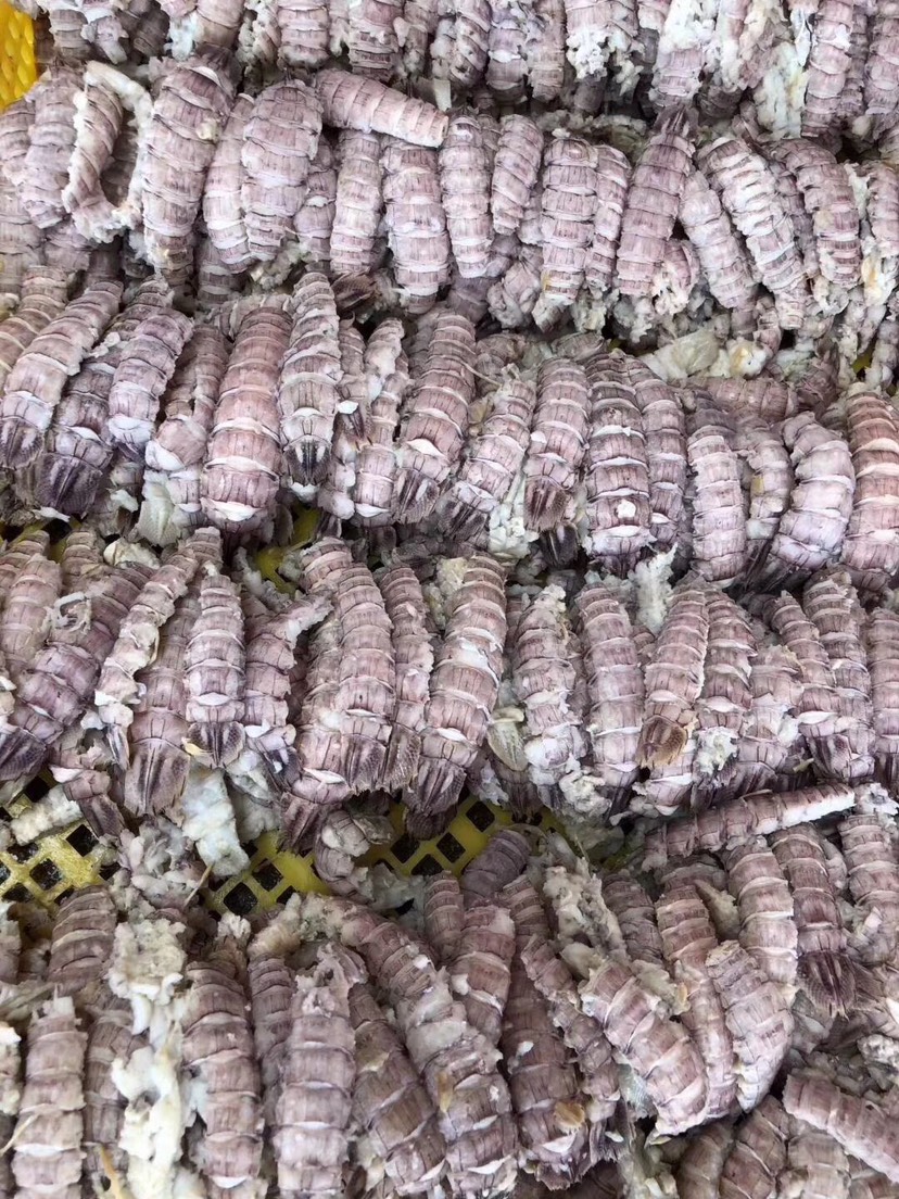 新虾加工皮皮虾肉，手工剥肉，新鲜，味美