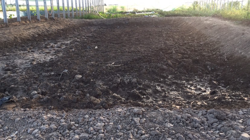 灵璧县疏林地 600亩土地资源