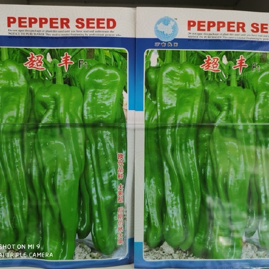 金堂县 早熟皮薄果大辣椒种子