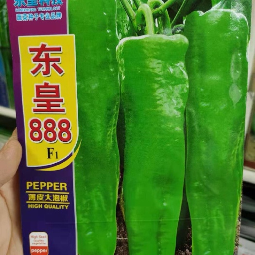 金堂县泡椒种子 杂交种 ≥85%