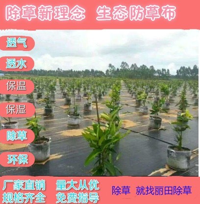 东莞市 防草布 除草布环保 保湿 透水 防草