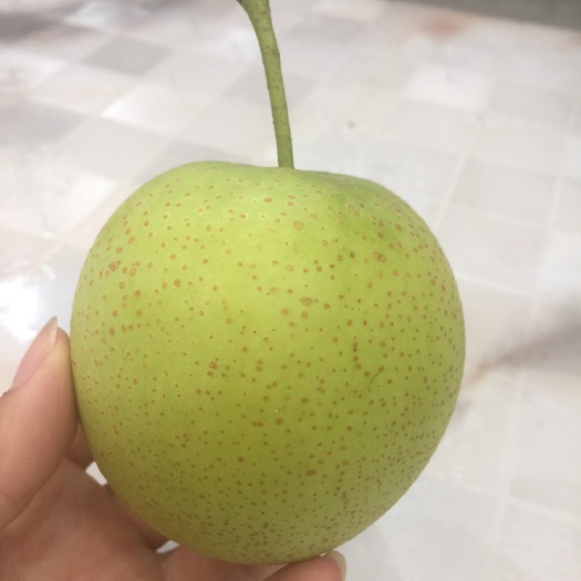 迁安市 皇冠梨 个大水分足 大量出售