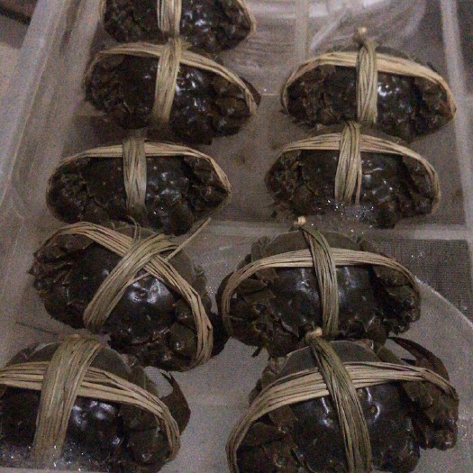 苏州苏州太湖大闸蟹 3两-5两 母蟹