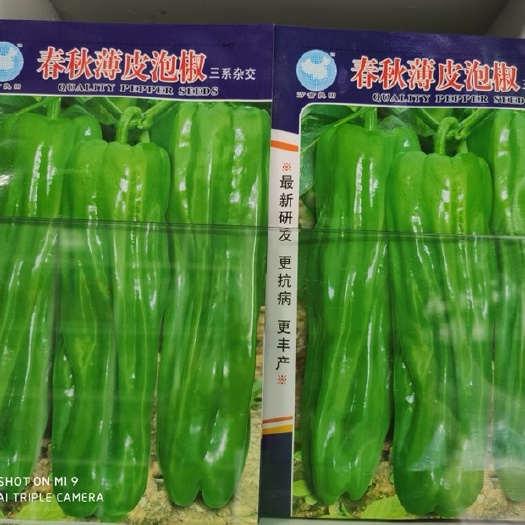 金堂县 抗病薄皮泡椒种子
