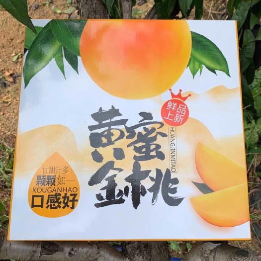 深圳锦绣黄桃 3 - 4两 60mm以上