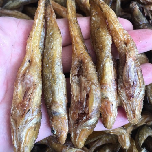 定南县棍子鱼干 油炸无盐鱼干，色泽好，干度好，无杂鱼，不苦，无沙