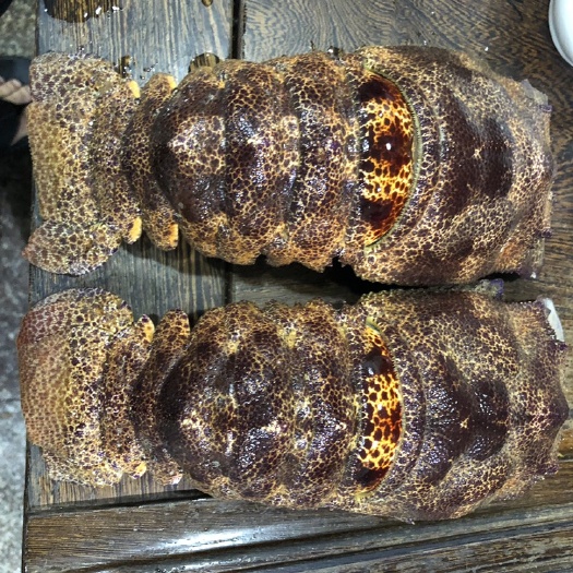 深圳 泰国犀牛虾
