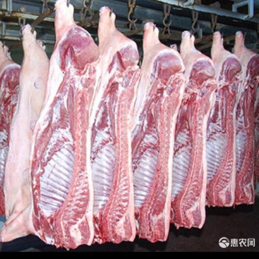 猪肉类 生肉