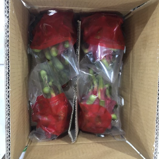 凭祥市软枝大红火龙果 特大（1斤以上）