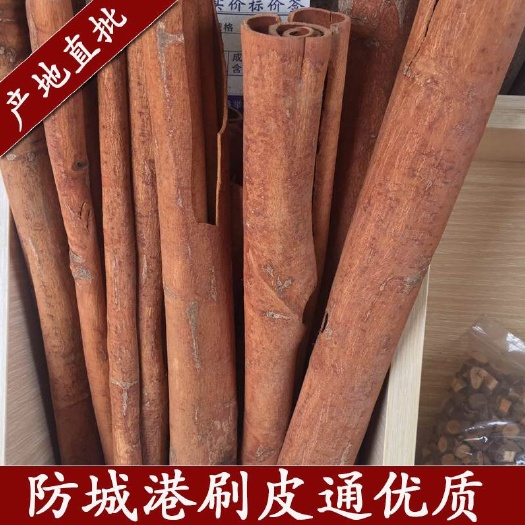 玉林广西肉桂大红桂皮刮皮桂通 黄通 刮皮通 国产油桂包邮大红桂皮