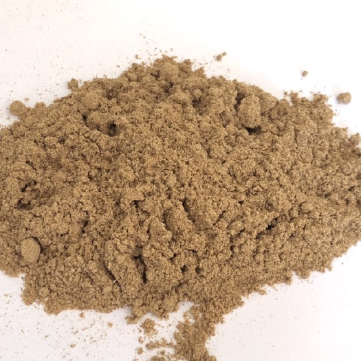 台州 美洲大蠊低脂精粉