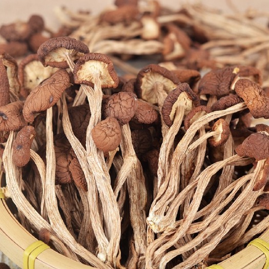 宁德 农家茶树菇2019新货茶树菇干货古田无硫新鲜煲汤佳品