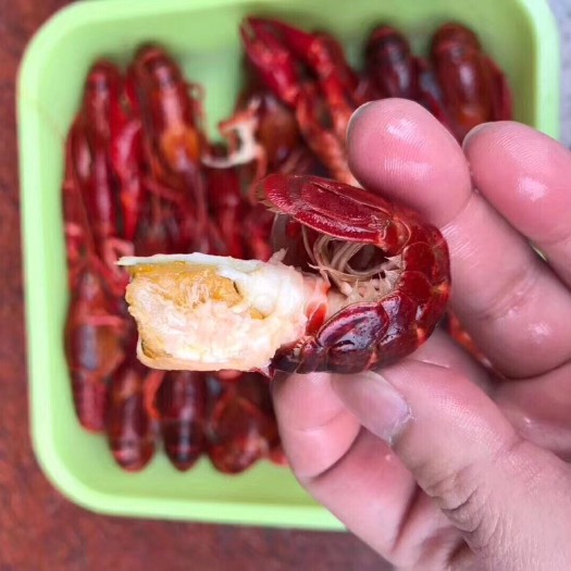 潜江市冻小龙虾 清水冻虾