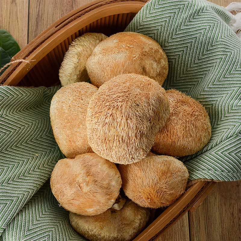  猴头菇古田食用菌干货特产养胃菌菇煲汤送礼