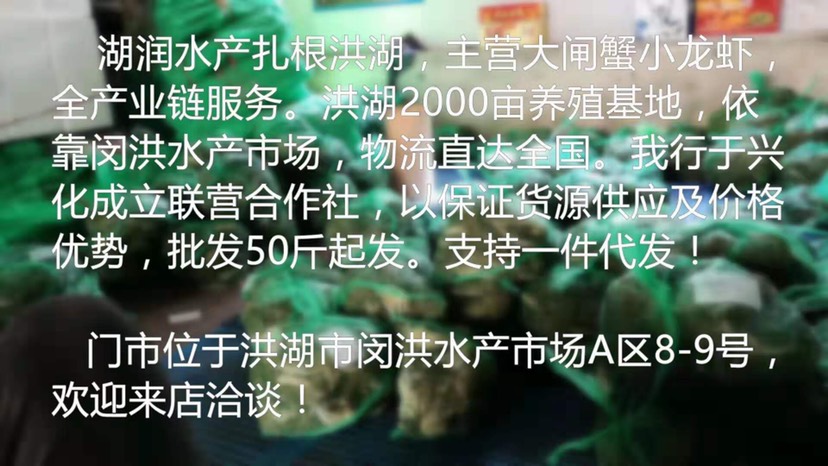 洪湖市大闸蟹  洪湖大闸蟹4公清水蟹批发红膏大闸蟹毛蟹鲜活