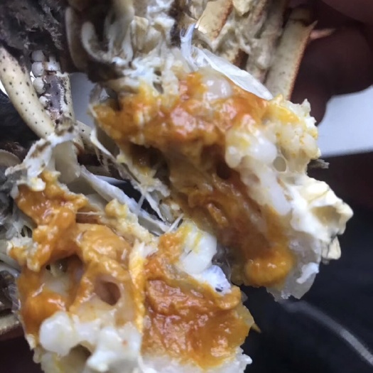 无为市盘锦河蟹 养殖基地直供优质大闸蟹