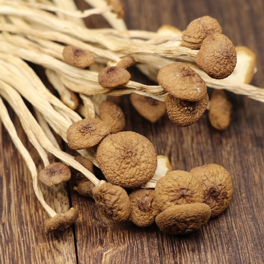 古田县 古田茶树菇不开伞 剪根茶薪菇冰菇