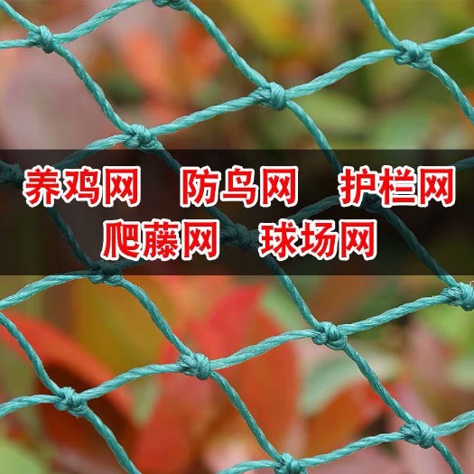 余姚市 尼龙网聚乙烯轮胎线养鸡网 爬藤网养殖网定做