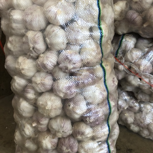 赣州金乡大蒜 混级统货 多瓣蒜